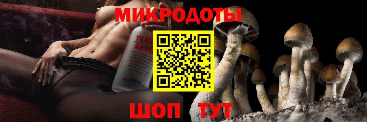 Галлюциногенные грибы мицелий  Псилоцибиновые грибы MAGIC MUSHROOMS  Вход с VPN  Зеленогорск 