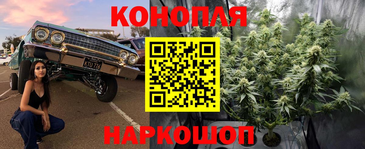 Конопля LSD WEED  Бошки Шишки White Widow  Зеленогорск  Вход с VPN 